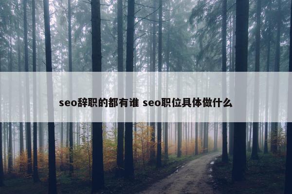 seo辞职的都有谁 seo职位具体做什么