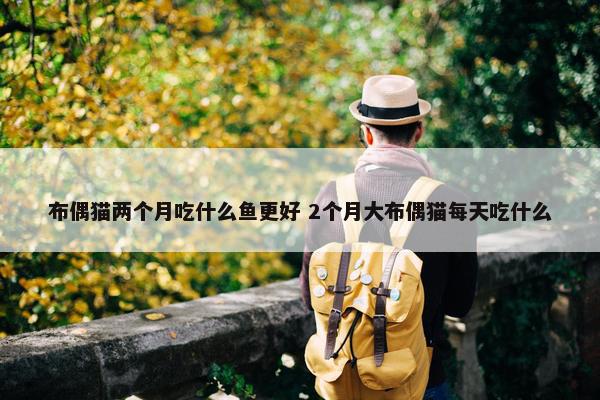 布偶猫两个月吃什么鱼更好 2个月大布偶猫每天吃什么