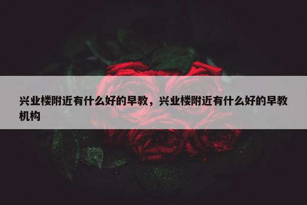 兴业楼附近有什么好的早教，兴业楼附近有什么好的早教机构