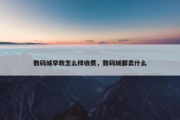 数码城早教怎么样收费，数码城都卖什么