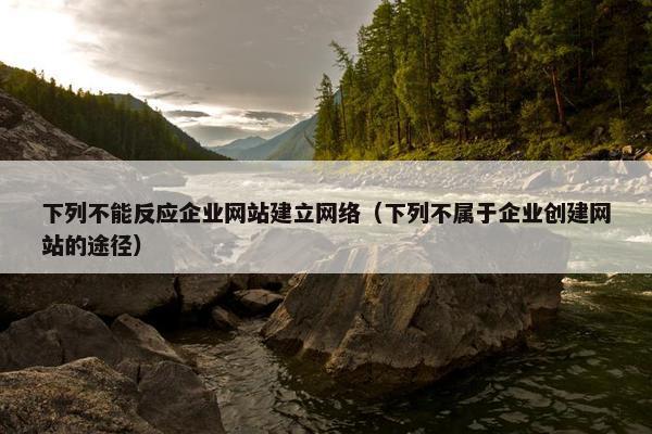 下列不能反应企业网站建立网络（下列不属于企业创建网站的途径）