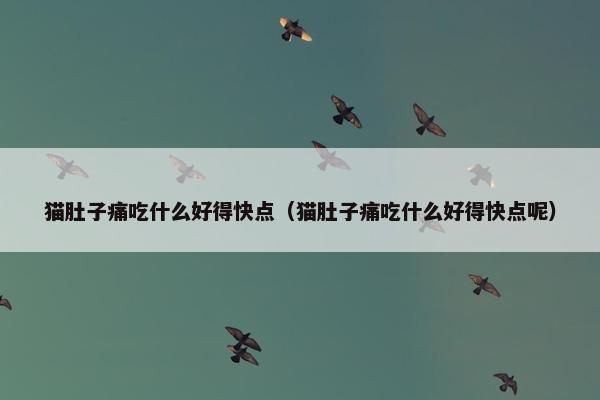 猫肚子痛吃什么好得快点（猫肚子痛吃什么好得快点呢）