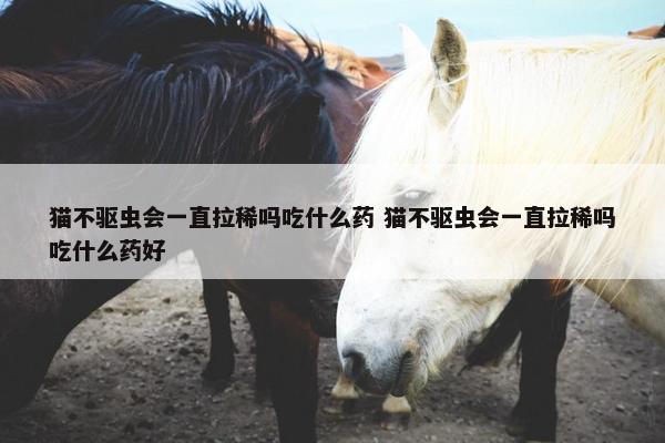 猫不驱虫会一直拉稀吗吃什么药 猫不驱虫会一直拉稀吗吃什么药好