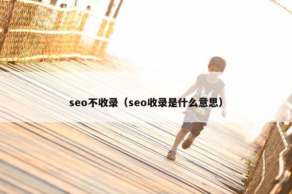 seo不收录（seo收录是什么意思）