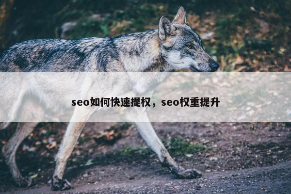 seo如何快速提权，seo权重提升