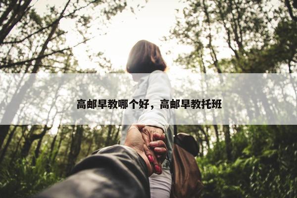 高邮早教哪个好，高邮早教托班