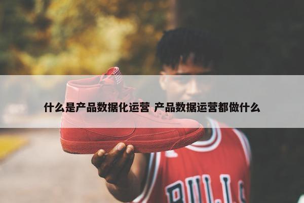 什么是产品数据化运营 产品数据运营都做什么