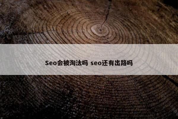 Seo会被淘汰吗 seo还有出路吗