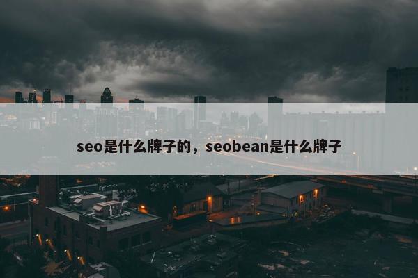 seo是什么牌子的，seobean是什么牌子