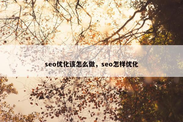 seo优化该怎么做，seo怎样优化