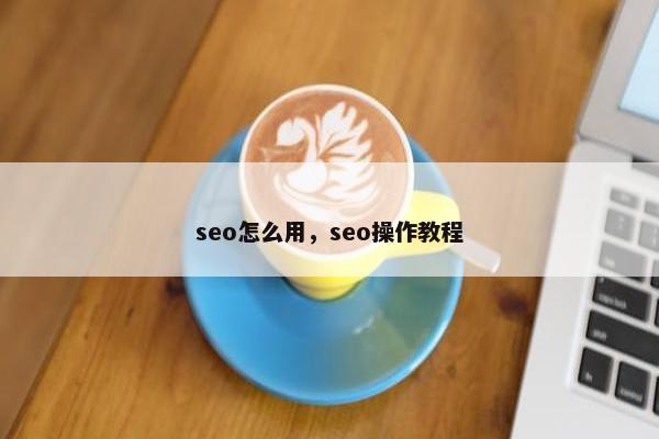 seo怎么用，seo操作教程