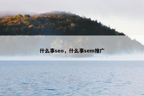 什么事seo，什么事sem推广