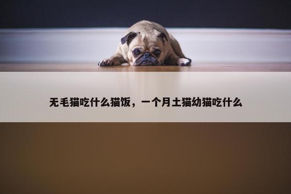 无毛猫吃什么猫饭，一个月土猫幼猫吃什么