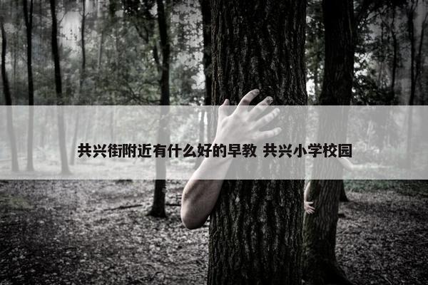 共兴街附近有什么好的早教 共兴小学校园