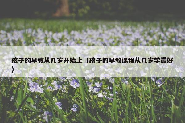 孩子的早教从几岁开始上（孩子的早教课程从几岁学最好）