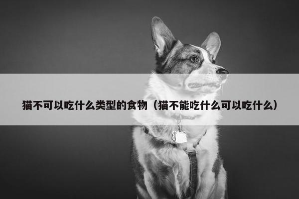 猫不可以吃什么类型的食物（猫不能吃什么可以吃什么）