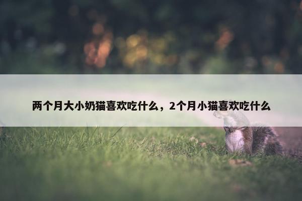 两个月大小奶猫喜欢吃什么，2个月小猫喜欢吃什么