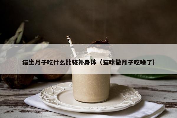 猫坐月子吃什么比较补身体（猫咪做月子吃啥了）