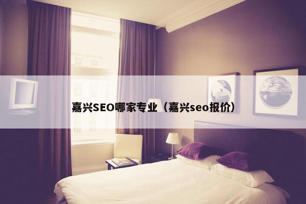 嘉兴SEO哪家专业（嘉兴seo报价）