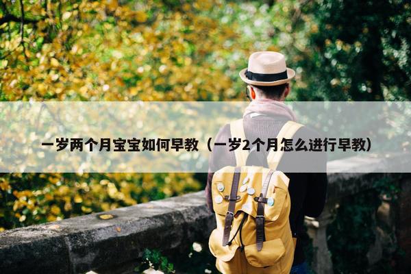 一岁两个月宝宝如何早教（一岁2个月怎么进行早教）