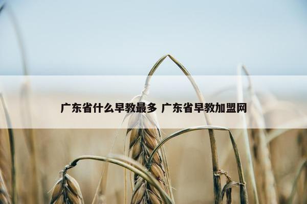 广东省什么早教最多 广东省早教加盟网