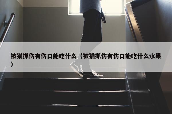 被猫抓伤有伤口能吃什么（被猫抓伤有伤口能吃什么水果）