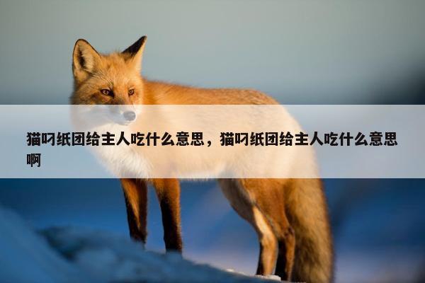 猫叼纸团给主人吃什么意思，猫叼纸团给主人吃什么意思啊