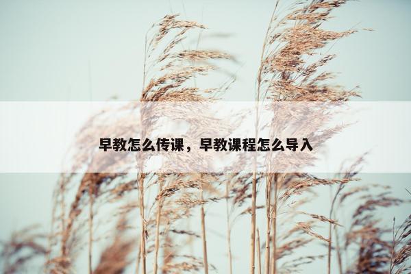 早教怎么传课，早教课程怎么导入