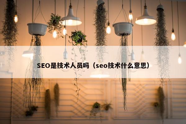 SEO是技术人员吗（seo技术什么意思）