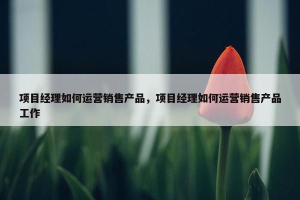 项目经理如何运营销售产品，项目经理如何运营销售产品工作