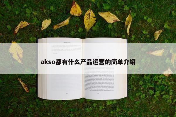 akso都有什么产品运营的简单介绍