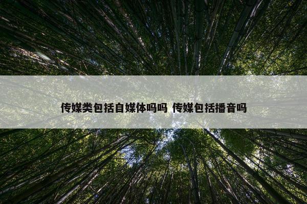 传媒类包括自媒体吗吗 传媒包括播音吗