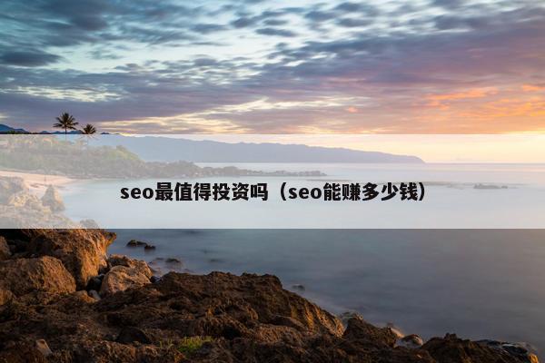 seo最值得投资吗（seo能赚多少钱）