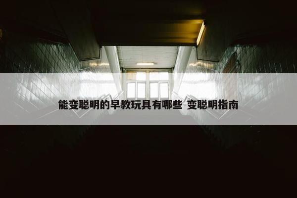 能变聪明的早教玩具有哪些 变聪明指南