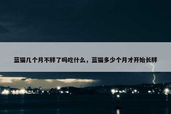 蓝猫几个月不胖了吗吃什么，蓝猫多少个月才开始长胖