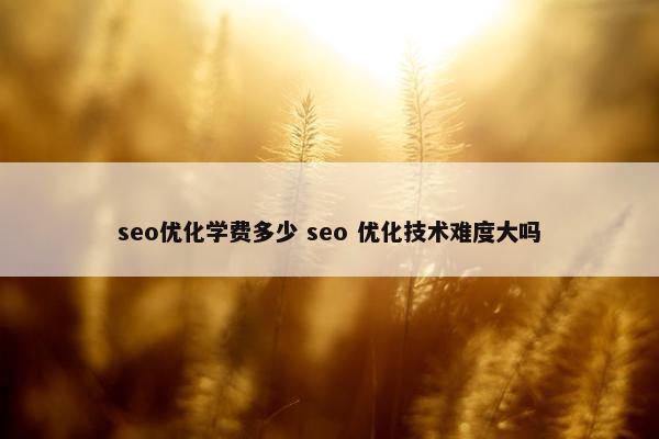 seo优化学费多少 seo 优化技术难度大吗