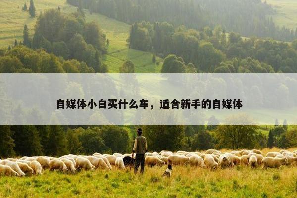 自媒体小白买什么车，适合新手的自媒体