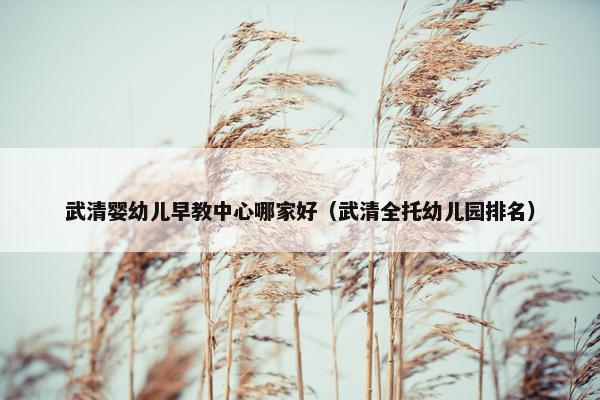 武清婴幼儿早教中心哪家好（武清全托幼儿园排名）