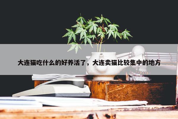 大连猫吃什么的好养活了，大连卖猫比较集中的地方