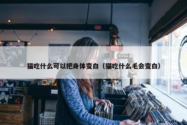 猫吃什么可以把身体变白（猫吃什么毛会变白）