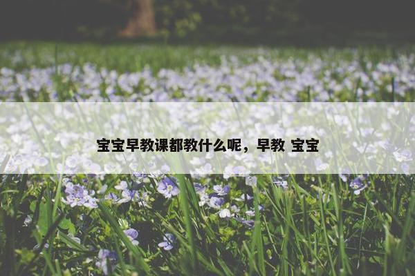 宝宝早教课都教什么呢，早教 宝宝