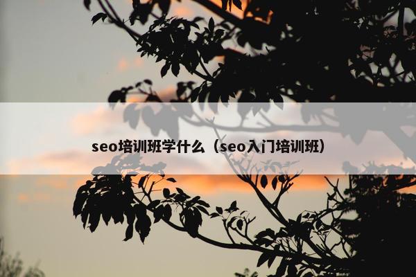 seo培训班学什么（seo入门培训班）