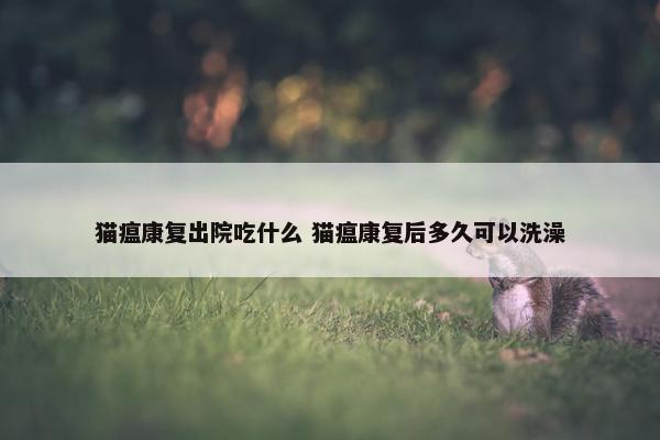 猫瘟康复出院吃什么 猫瘟康复后多久可以洗澡