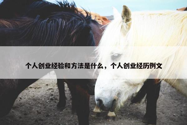 个人创业经验和方法是什么，个人创业经历例文