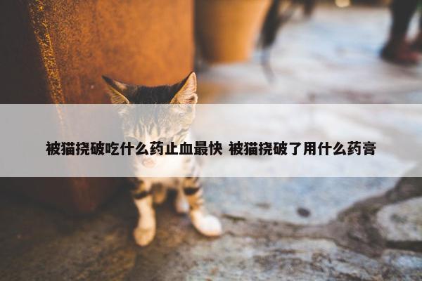 被猫挠破吃什么药止血最快 被猫挠破了用什么药膏