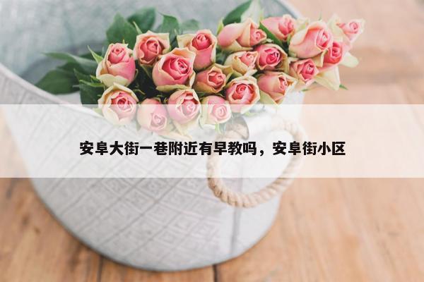 安阜大街一巷附近有早教吗，安阜街小区