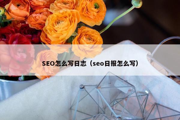 SEO怎么写日志（seo日报怎么写）