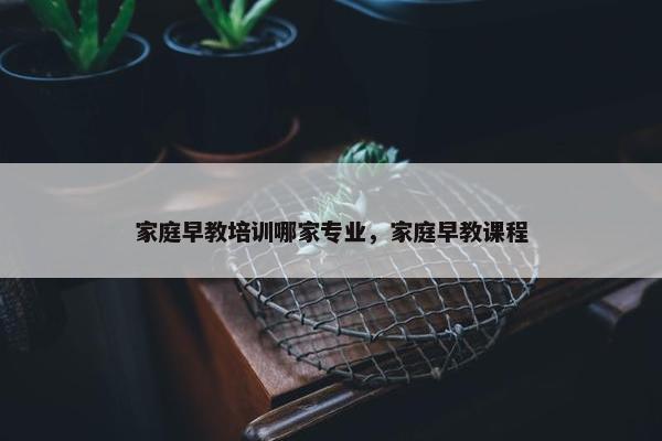 家庭早教培训哪家专业，家庭早教课程