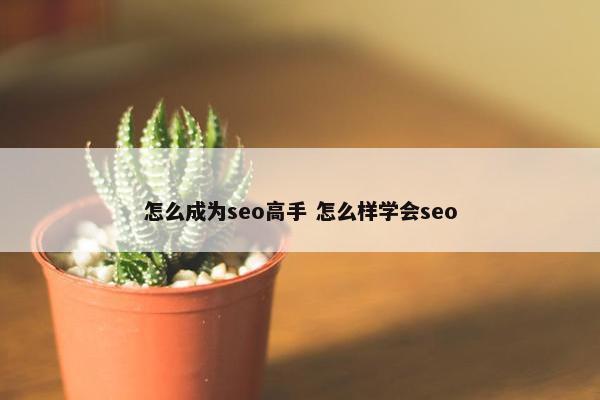 怎么成为seo高手 怎么样学会seo