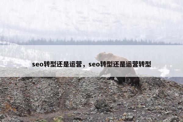 seo转型还是运营，seo转型还是运营转型